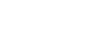 Logo Ozion Dev